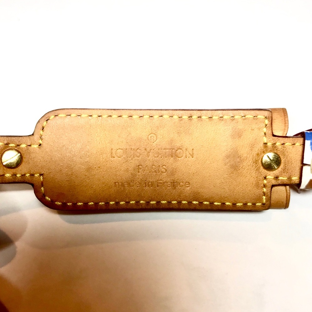 Louis Vuitton Multicolor Monogram LV Leather - Picture 6 of 7